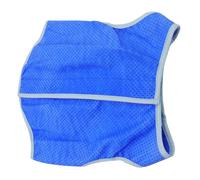 EXAOMBLE Gilet de Refroidissement pour Chien Veste Rafraîchissante Maille avec Ruban Adhésif Bleu