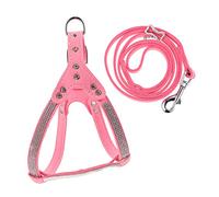 EXAOMBLE Harnais pour Chien Réglable en Doublure Douce 2Pcs Sangle de Poitrine en Corde de Traction Solide Accessoires pour Animaux de Compagnie