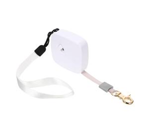 EXAOMBLE Laisse Rétractable pour Petits Chiens avec Corde de 2m en Nylon et Plastique, Équipée d'une Sangle Poignet, Promenade Sécurisée Couleur Aléatoire