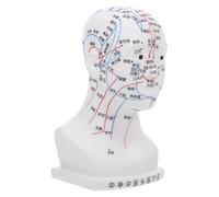 EXAOMBLE Modèle d'Acupuncture Tête 20 CM, Tête Humaine Points d'Acupuncture pour Massage Visage, pour Cours et Pratique à Domicile