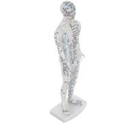 EXAOMBLE Modèle du Corps Humain D'acupuncture en Plastique Blanc Méridiens Clairs pour Apprentissage et Exposition en Classe ou Massage