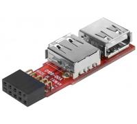 Dexlan Adaptateur interne USB 2.0 – 2 ports pour carte mère (9 broches)
