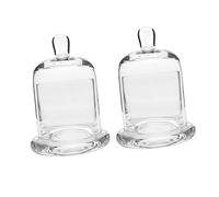 EXCEART 2ensembles Porte-bougie Verre Transparent Avec Cloche Décorative De Cups Pour Bougies Plantes Succulentes Et Miniatures Élégance Multifonctionnelle Pour Décoration Intérieure