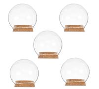 EXCEART Cloche en Verre avec Base en Bois : 5 PièCes DéCoratives en Verre, Vitrine en Transparent pour Plantes, MéDailles, Photos Et Objets De Collection