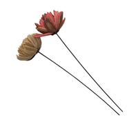 EXCEART Fleurs Séchées Maison 2pcs Décoration de Table Élégante en Bouquet Naturel pour Décoration Intérieure et Bureau Ambiance Naturelle
