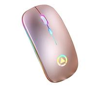 EXCEART Souris sans Fil RGB Luminescente Silencieuse Et Rechargeable pour Ordinateur De Bureau