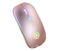 EXCEART Souris sans Fil RGB Rechargeable Souris Ordinateur Silencieuse sans Fil pour Usage Professionnel