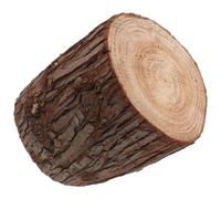 EXCEART Table Basse en Bois Naturel Souche Décorative Cylindrique, Base Stable pour Affichage Multifonctionnel, pour Décor Maison et Séances Photos