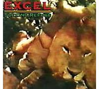 Excel - Seeking Refuge