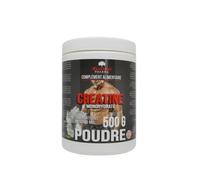 Exceldiet Pharma Créatine Monohydraté Poudre 500g
