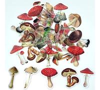 ExceLife Lot de 40 autocollants rétro en forme de champignon en PET transparent étanche pour scrapbooking, journal, album, étui de téléphone, ordinateur portable, fabrication de cartes