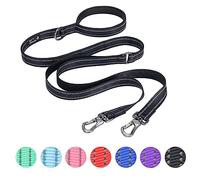 EXCELLENT ELITE SPANKER 5FT Double Laisse réfléchissante en Nylon Laisse de Chien Multiple avec poignée rembourrée pour Deux Chiens de Formation à la Marche(Red)