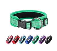 EXCELLENT ELITE SPANKER Collier Classique en PU avec Boucle Ajustable pour Petits, Moyens et Grands Chiens, Promenade et Dressage, Noir, Rouge et Bleu(GRN-L)