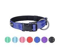 EXCELLENT ELITE SPANKER Collier réfléchissant classique pour chien en nylon doux rembourré avec boucle réglable pour chiens de petite et moyenne taille - Noir, rouge, bleu (bleu-L)