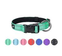 EXCELLENT ELITE SPANKER Collier réfléchissant classique pour chien en nylon doux rembourré avec boucle réglable pour chiens de petite et moyenne taille - Noir, rouge, bleu (vert-L)