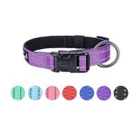 EXCELLENT ELITE SPANKER Collier réfléchissant classique pour chien en nylon doux rembourré avec boucle réglable pour chiens de petite et moyenne taille - Noir, rouge, bleu (violet/L)
