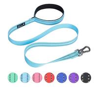 EXCELLENT ELITE SPANKER Laisse de dressage de chien en nylon robuste et durable - 1,2 m de long - 2,5 cm de large - Avec poignée - Pour chiens de petite et moyenne taille (bleu clair)