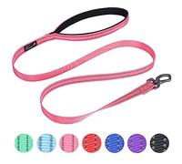 EXCELLENT ELITE SPANKER Laisse de dressage de chien en nylon solide et durable - 1,2 m de long - 1,9 cm de large - Avec poignée - Pour petits chiens (rose)