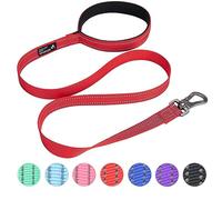 EXCELLENT ELITE SPANKER Laisse de dressage de chien en nylon solide et durable - 1,2 m de long - 2,5 cm de large - Avec poignée - Pour chiens de petite et moyenne taille (rouge)