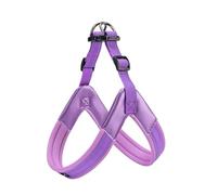 EXCELLENT ELITE SPANKER Réflecteur Step-in Chien Harnais Poitrine Sangle | Réglable nylon Gilet pour chien avec anneau de laisse rembourré et souple pour petites moyennes et grandes races Promenade