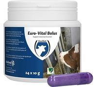 Excellent Fournitures de Soins de santé Bolus Euro-Vital