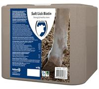 Excellent Fournitures de Soins de santé Lick Stone BIOTIN