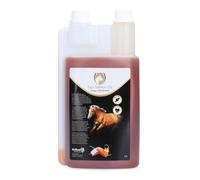 Excellent Fournitures sanitaires Equi Zalmolie