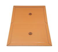 EXCELLIUM PROFESSIONNEL 2 Plaques de Glu Rats et Souris avec Attractif | Capsule d’attractif odorant sur chaque plaque, carton rigide repliable, simple à utiliser, grenier, cave, local poubelle