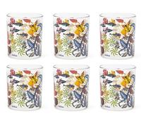 Excelsa Afrika Lot de 6 verres, verre, capacité 250 ml.