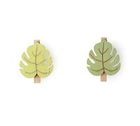 Excelsa Foliage Lot de 6 Pinces à Linge en Bois, Vert