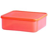 Excelsa Keeper récipient, rectangulaire, 100 ML, Polypropylène, 8 x 6 x 4 cm 250 ML Arancio