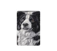 Excited Border Collie Lot de 4 désodorisants de voiture à suspendre Cartes parfumées pour tablettes d'aromathérapie de voiture