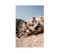 Exclusive Art Poster 3 (1) - Affiche sur toile représentant le cycliste Fabio Wibmer Freedom Wild Vibe Amazing Boy Room Portrait Poster 3 (1) - - Décoration de chambre à coucher, bureau, chambre