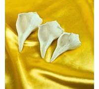 Exclusive Global Petit Dakshinavarti Shankh Hindou Puja Godess Laxmi Home Temple Pooja