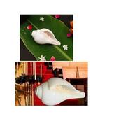 Exclusive Global Religious Sawan Hindou Puja Soufflant Conque (Bajanewala Puja Shankh) 7,6 cm