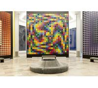 Excursion d une demi-journée à Marseille au musée Vasarely et à la Cité Radieuse
