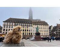 Excursion d une journée au Luxembourg au départ de Strasbourg