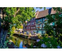 Excursion d une journée sur la Route des vins d Alsace au départ de Strasbourg Colmar & Villages