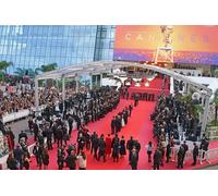 Excursion privée d une demi-journée à Antibes et Cannes Exclusivité