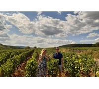 Excursion privée d une journée en Bourgogne : Grand Cru Experience
