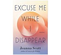 Excuse Me While I Disappear