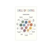 Executive Decision Matrix Poster Circle of Control Concern Influence for Strategic Planning Resource Allocation Office Chart(Unframed,08x12inch(20x30cm))