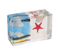Exemplaire D’insecte Réel en Acrylique Bleu pour Études | Cartes Bilingues Anglais Chinois Incluses, Affichage Anti Poussière, pour Musées et Démonstrations