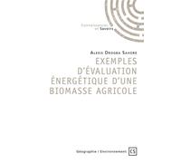 Exemples d'évaluation énergétique d'une biomasse agricole - Alexis Sahoré Drogba - Publibook - broché - Essai