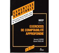 Exercices De Comptabilité Approfondie - Decf, Épreuve N° 6