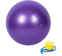 Exercise Ball Fitness Ball Anti-Burst Stability Ball With Quick Pump,Professional Balance Ball For Pilates,Yoga..[W223]