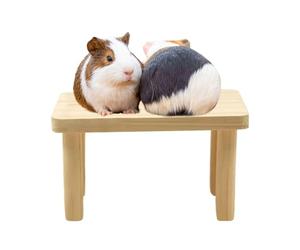 Exercise Gym - Timber Jungle for Gnawing | Kiln-Dried Birch Pillars with Hanging Swing Hooks & Multi Level Steps for Squirrels, Chinchillas, Rabbits and Hamsters Enclosure Furniture