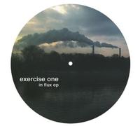Exercise One - in Flux
