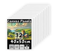 Exerz Lot de 12 panneaux de toile 40 x 50 cm, 3 mm, 280 g/m², 100 % coton, vierge, triple apprêt, sans acide, grain moyen - huile et acrylique