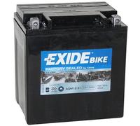 EXIDE BATTERIE EXIDE AGM READY AGM12-31